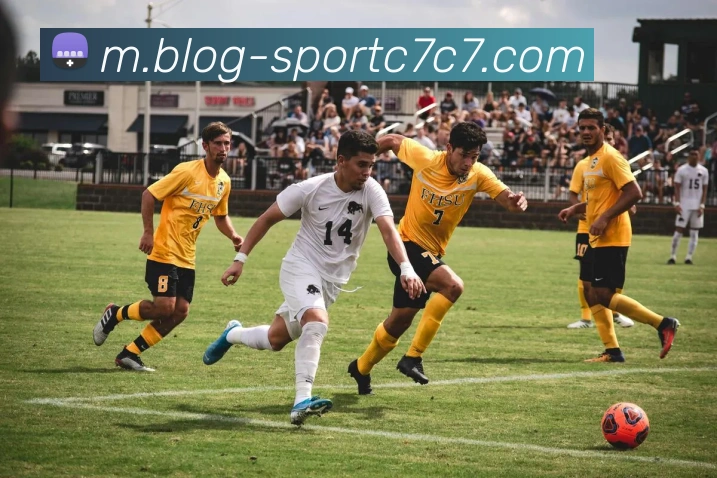 阴阳合同内幕揭秘小卡经纪人也参与其中并非卡舅独断