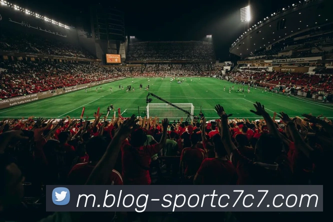 奖项证书
